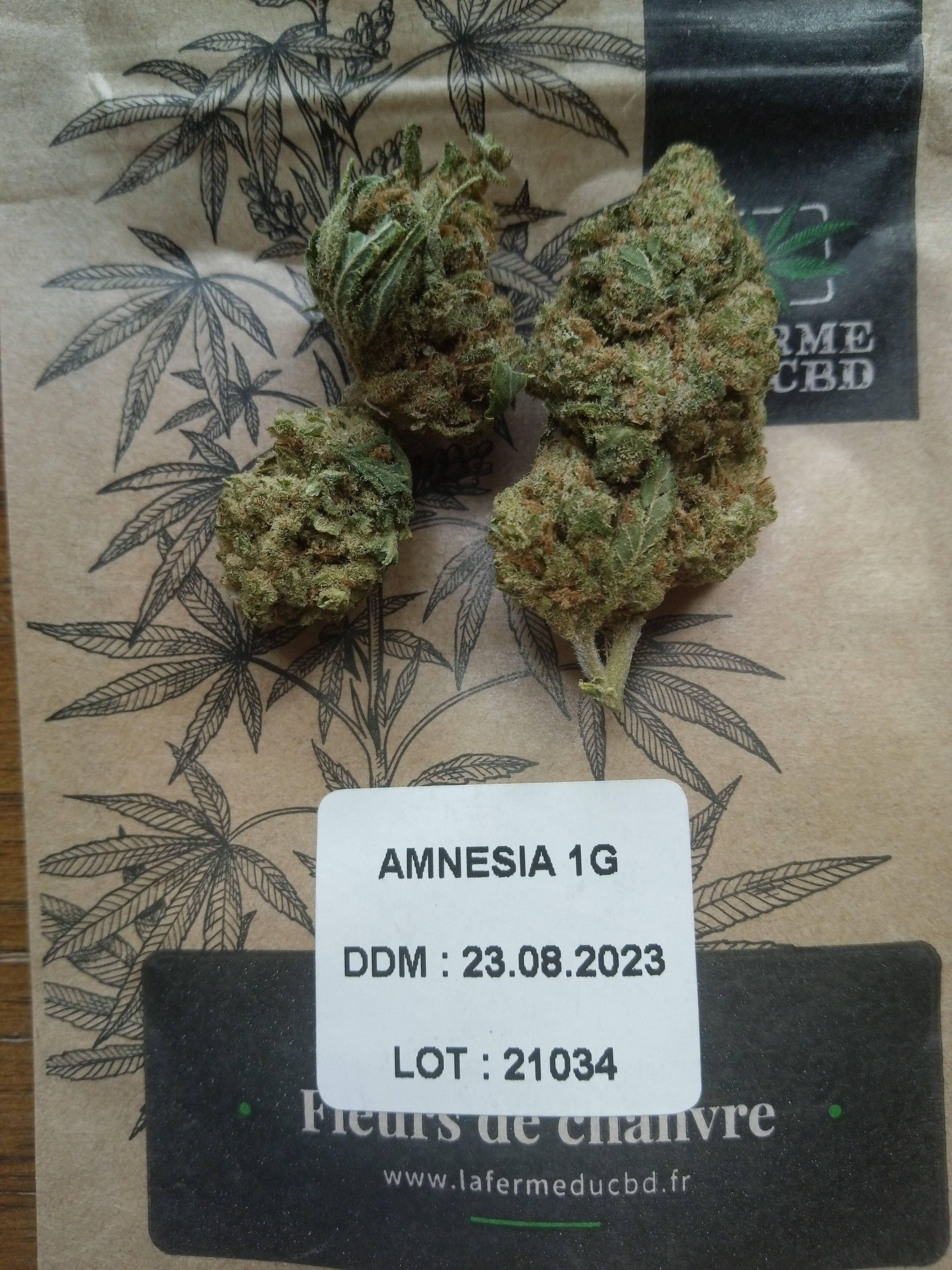 fleur cbd avis amnesia 